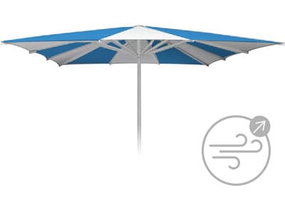 Symboldbild Albatros