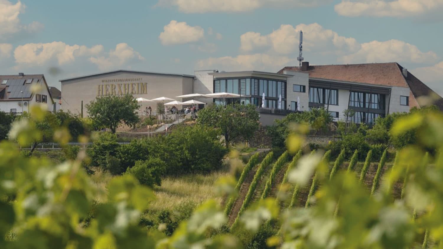 Sonnenschirme für Brauereien und Weingärtner Friedrich Pesch GmbH